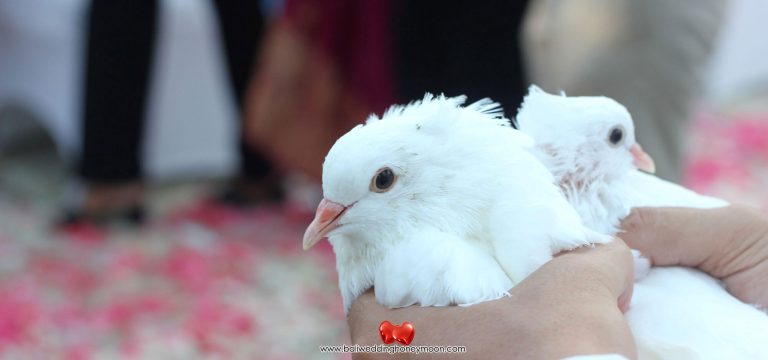 Intercontinentalbalilegalwedding baliweddinghoneymoon1